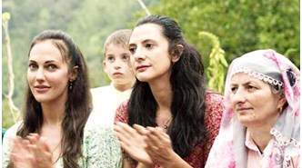 Gücünü doğadan alan film: Kovan
