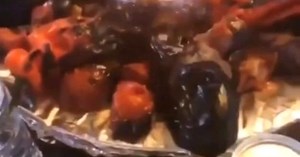 Şanlıurfa'ya giden Demet Akalın ve Alişan kısıtlamaları hiçe sayarak bir restoranda yemek yedi