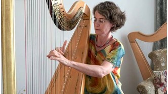 'Türk Arpı Projesi' müzik dünyasında büyük bir boşluğu dolduracak